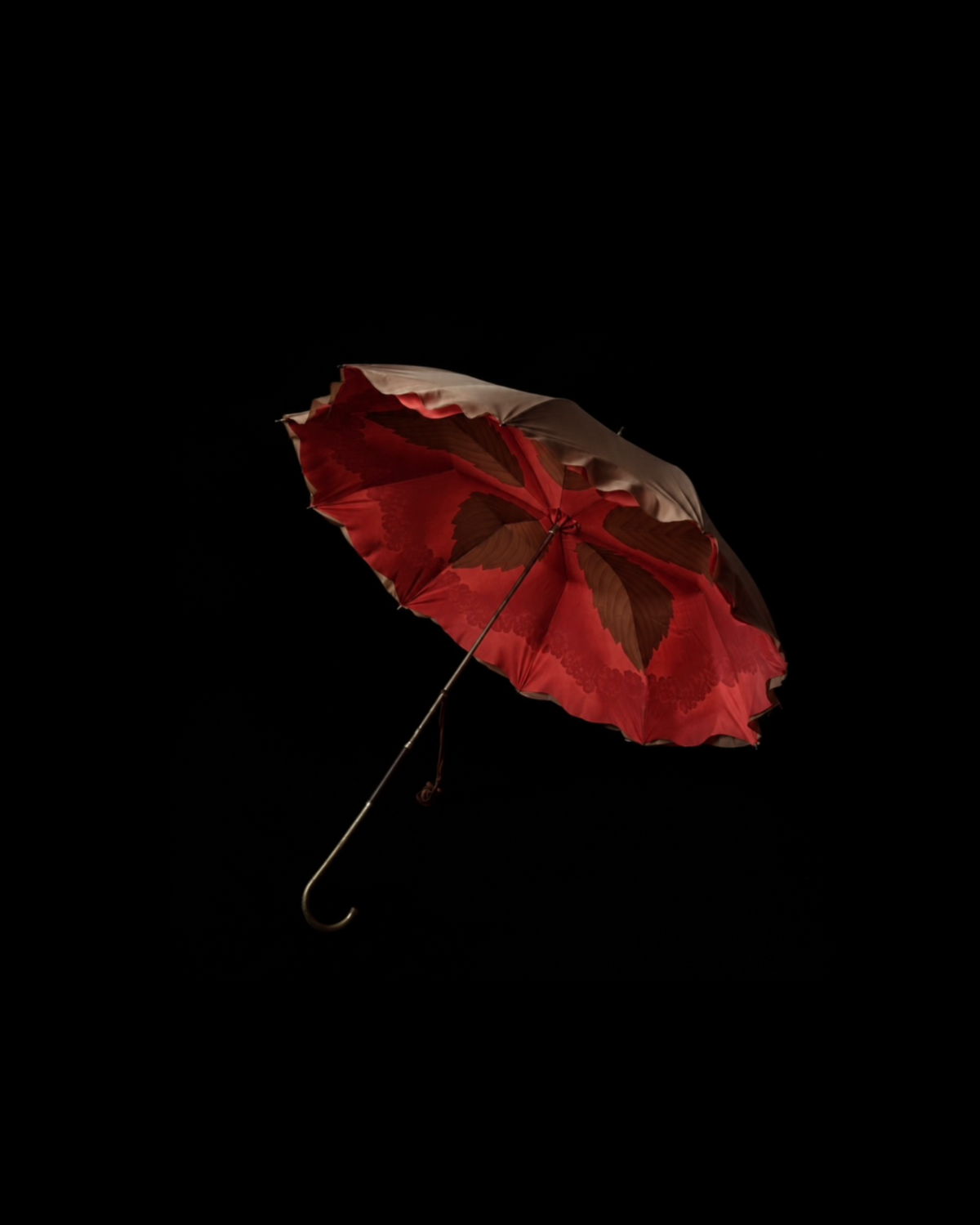 Umbrellas｜傘