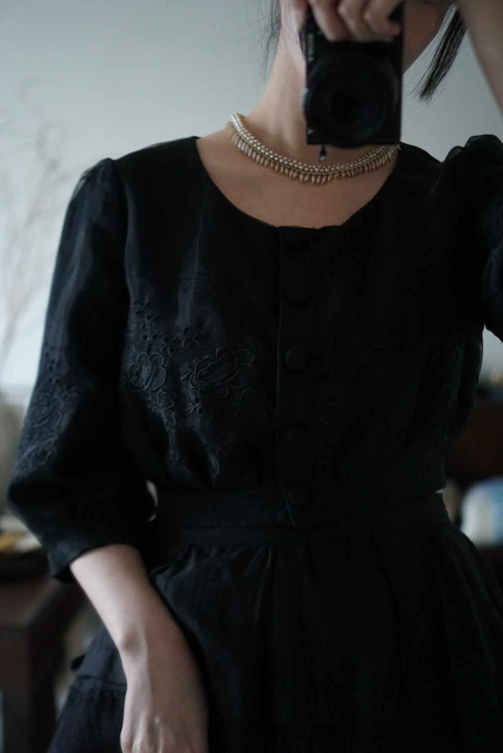 Vintage Black Sheer Blouse