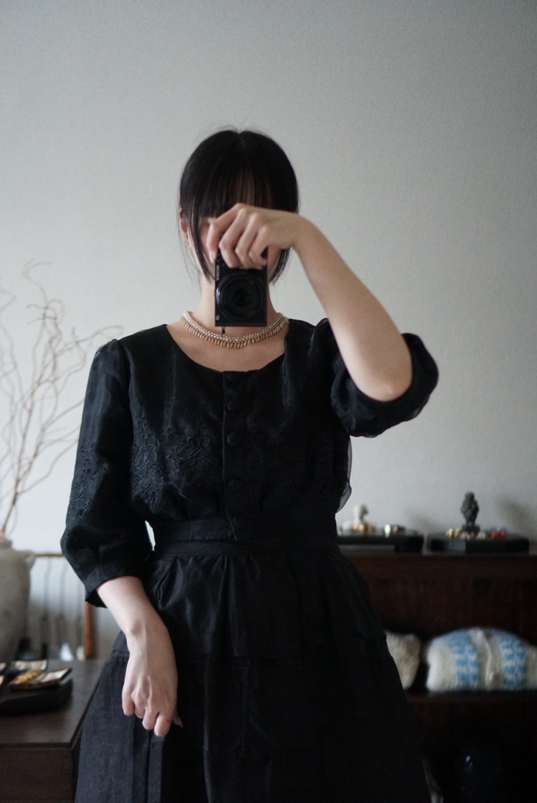 Vintage Black Sheer Blouse